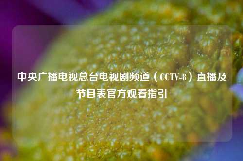 中央广播电视总台电视剧频道(CCTV-8)直播及节目表官方观看指引