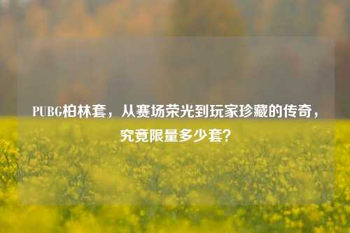 PUBG柏林套，从赛场荣光到玩家珍藏的传奇，究竟 *** 多少套？