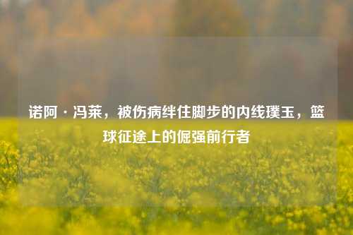 诺阿·冯莱，被伤病绊住脚步的内线璞玉，篮球征途上的倔强前行者