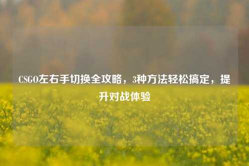 CSGO左右手切换全攻略,3种 *** 轻松搞定,提升对战体验