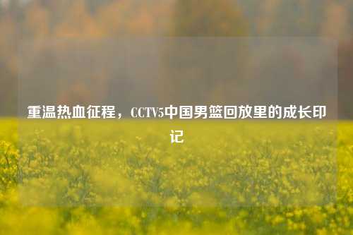 重温热血征程,CCTV5中国男篮回放里的成长印记