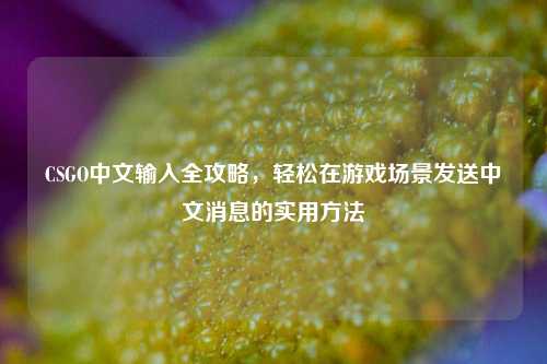 CSGO中文输入全攻略，轻松在游戏场景发送中文消息的实用 *** 
