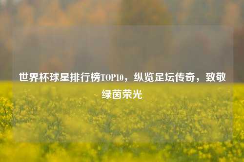 世界杯球星排行榜TOP10，纵览足坛传奇，致敬绿茵荣光