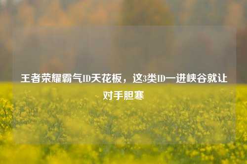 王者荣耀霸气ID天花板,这3类ID一进峡谷就让对手胆寒