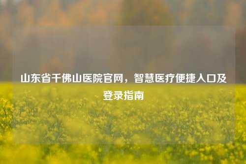 山东省千佛山医院官网，智慧医疗便捷入口及登录指南