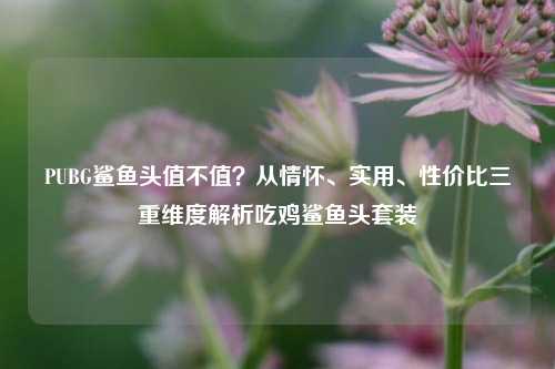PUBG鲨鱼头值不值?从情怀、实用、性价比三重维度解析吃鸡鲨鱼头套装