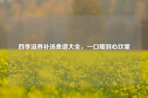 四季滋养补汤食谱大全,一口暖到心坎里