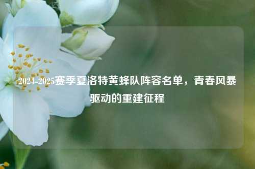 2024-2025赛季夏洛特黄蜂队阵容名单,青春风暴驱动的重建征程