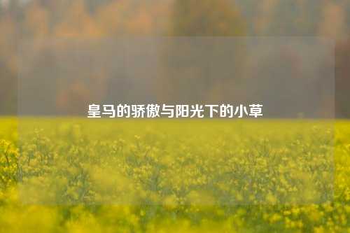 皇马的骄傲与阳光下的小草