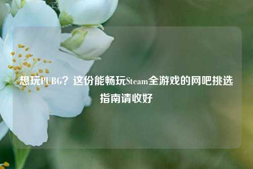 想玩PUBG?这份能畅玩Steam全游戏的网吧挑选指南请收好