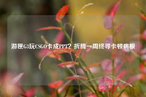 游匣G3玩CSGO卡成PPT?折腾一周终寻卡顿病根