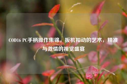COD16 PC手柄操作集锦,扳机扣动的艺术,精准与 *** 的视觉盛宴