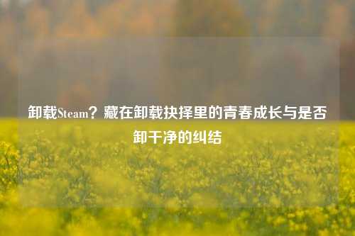 卸载Steam?藏在卸载抉择里的青春成长与是否卸干净的纠结