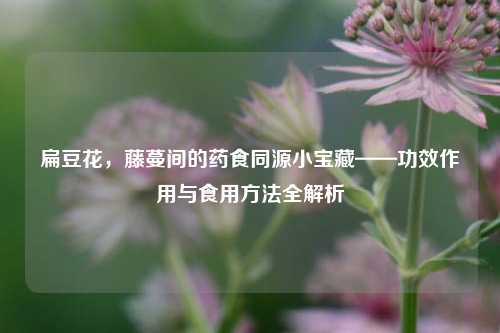 扁豆花,藤蔓间的药食同源小宝藏——功效作用与食用 *** 全解析