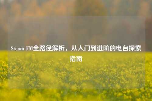 Steam FM全路径解析,从入门到进阶的电台探索指南