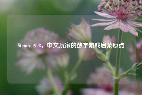 Steam 1998,中文玩家的数字游戏启蒙原点