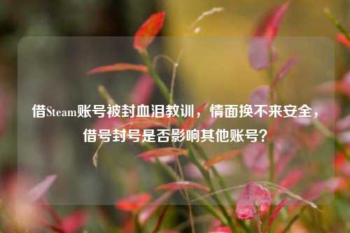 借Steam账号被封血泪教训,情面换不来安全,借号封号是否影响其他账号?