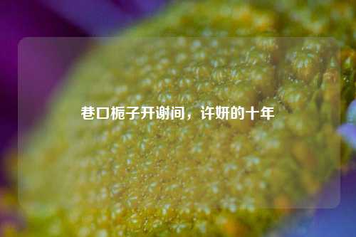 巷口栀子开谢间,许妍的十年