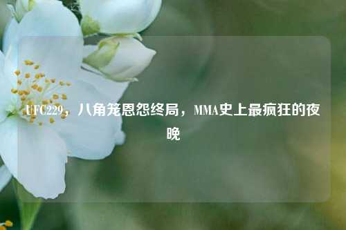 UFC229,八角笼恩怨终局,MMA史上最疯狂的夜晚