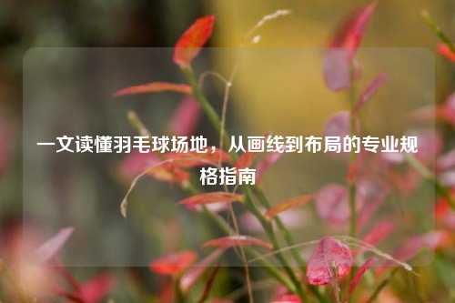 一文读懂羽毛球场地,从画线到布局的专业规格指南