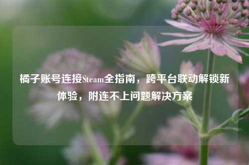橘子账号连接Steam全指南,跨平台联动解锁新体验,附连不上问题解决方案