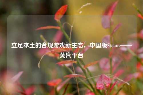 立足本土的合规游戏新生态,中国版Steam——蒸汽平台