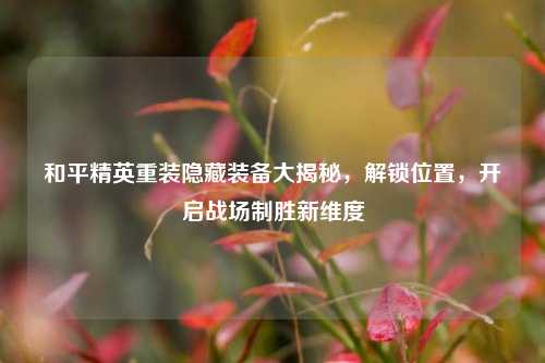 和平精英重装隐藏装备大揭秘,解锁位置,开启战场制胜新维度