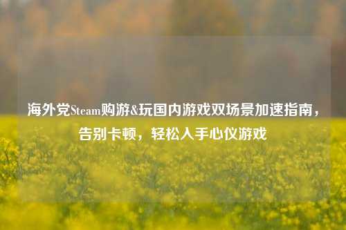 海外党Steam购游&玩国内游戏双场景加速指南,告别卡顿,轻松入手心仪游戏