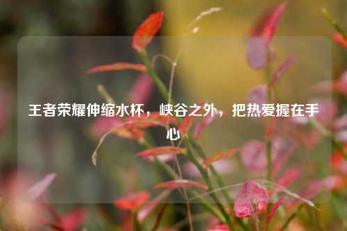 王者荣耀伸缩水杯,峡谷之外,把热爱握在手心