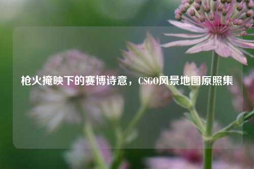 枪火掩映下的赛博诗意,CSGO风景地图原照集