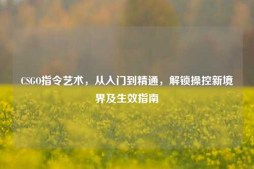 CSGO指令艺术,从入门到精通,解锁操控新境界及生效指南