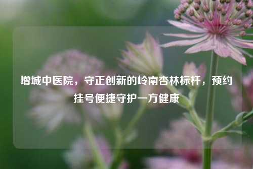 增城中医院,守正创新的岭南杏林标杆,预约挂号便捷守护一方健康