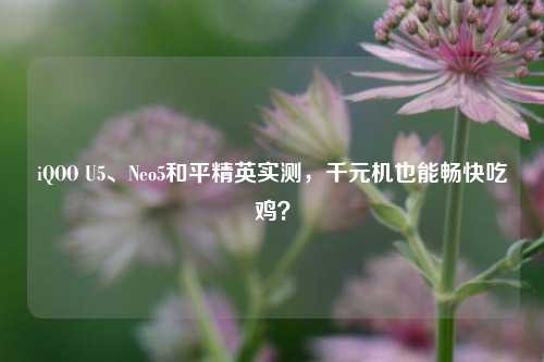 iQOO U5、Neo5和平精英实测，千元机也能畅快吃鸡？