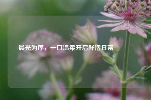 晨光为序,一口温柔开启鲜活日常🥣
