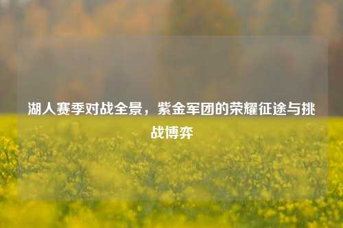湖人赛季对战全景,紫金军团的荣耀征途与挑战博弈