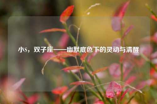 小S,双子座——幽默底色下的灵动与清醒