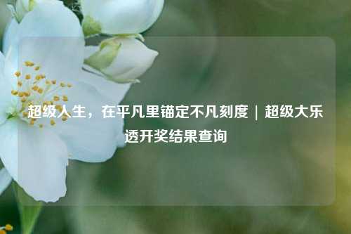 超级人生,在平凡里锚定不凡刻度 | 超级大乐透开奖结果查询