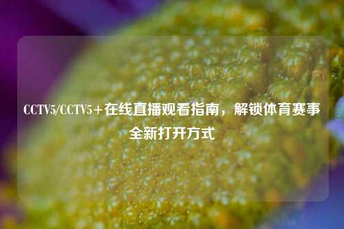 CCTV5/CCTV5+在线直播观看指南,解锁体育赛事全新打开方式
