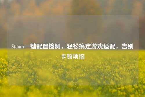 Steam一键配置检测,轻松搞定游戏适配,告别卡顿烦恼