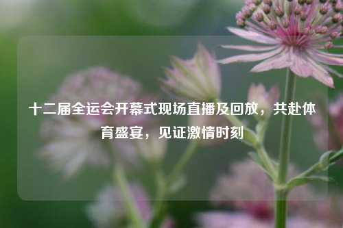 十二届全运会开幕式现场直播及回放,共赴体育盛宴,见证 *** 时刻
