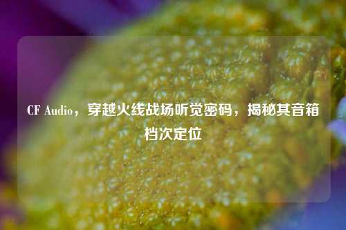 CF Audio,穿越火线战场听觉密码,揭秘其音箱档次定位