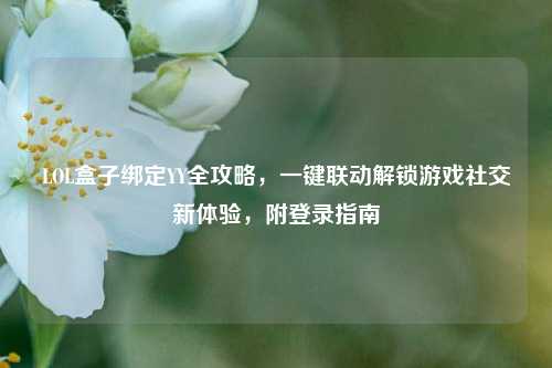 LOL盒子绑定YY全攻略，一键联动解锁游戏社交新体验，附登录指南