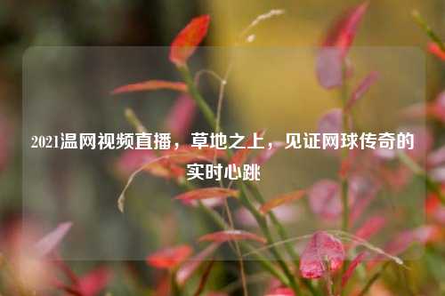 2021温网视频直播,草地之上,见证网球传奇的实时心跳