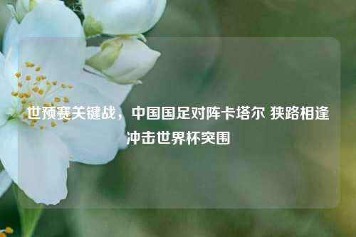 世预赛关键战，中国国足对阵卡塔尔 狭路相逢冲击世界杯突围