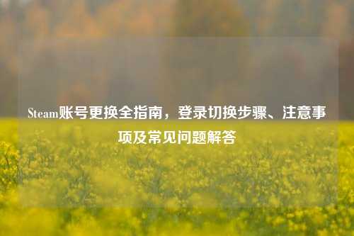 Steam账号更换全指南，登录切换步骤、注意事项及常见问题解答
