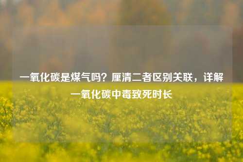一氧化碳是煤气吗?厘清二者区别关联,详解一氧化碳中毒致死时长