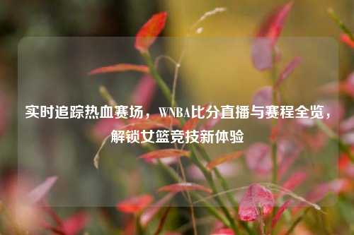 实时追踪热血赛场,WNBA比分直播与赛程全览,解锁女篮竞技新体验