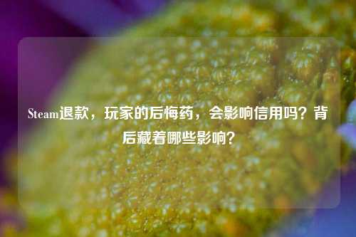 Steam退款,玩家的后悔药,会影响信用吗?背后藏着哪些影响?