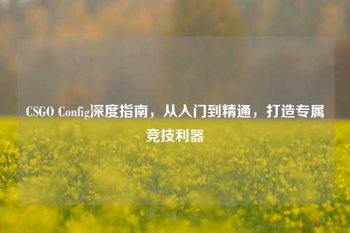 CSGO Config深度指南,从入门到精通,打造专属竞技利器