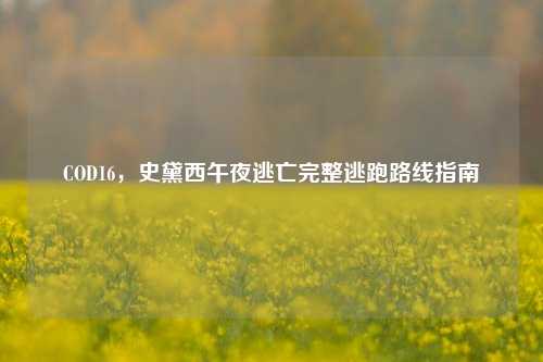 COD16,史黛西午夜逃亡完整逃跑路线指南